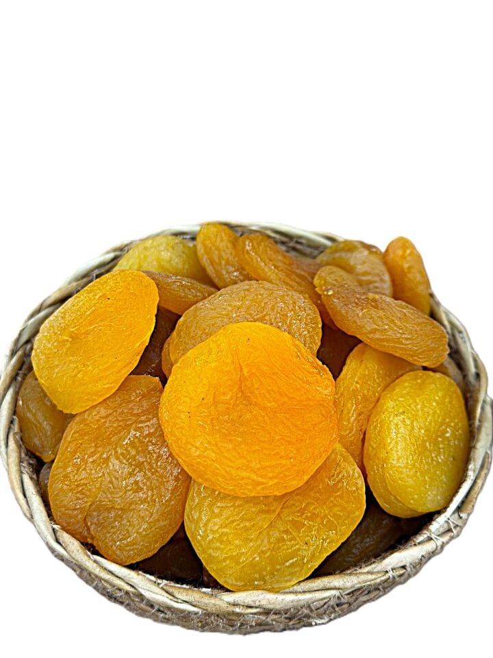 KURU KAYISI